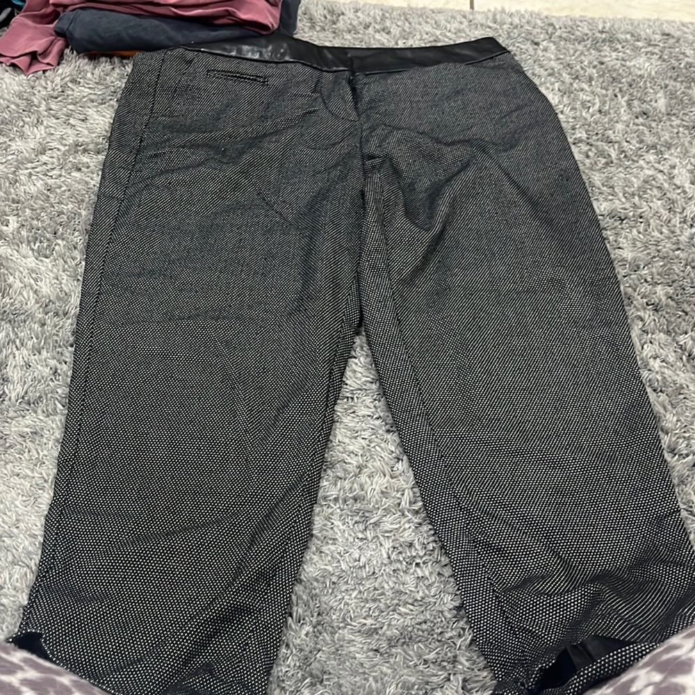 Dress pants